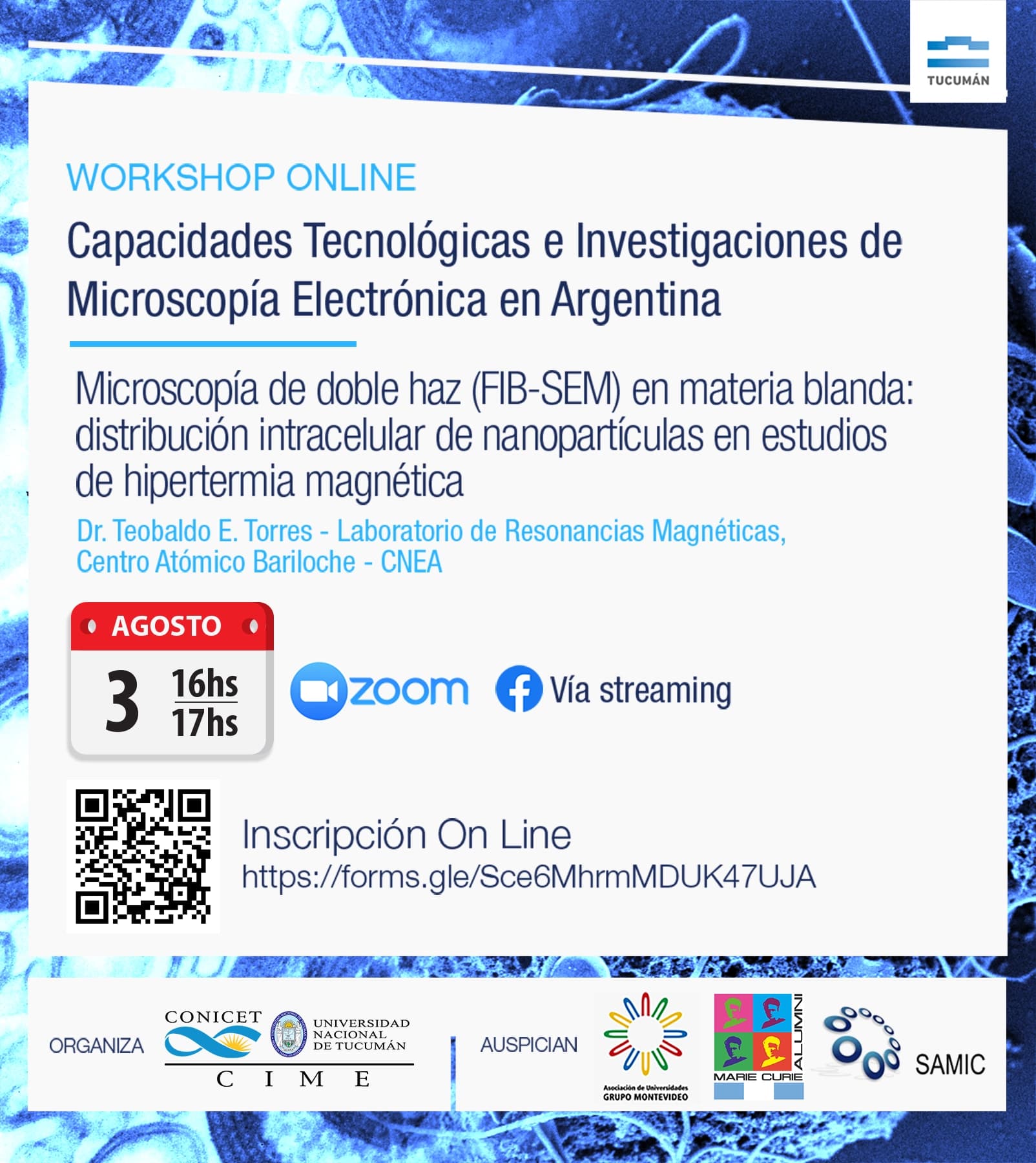 Electron microscopy workshop application 1
