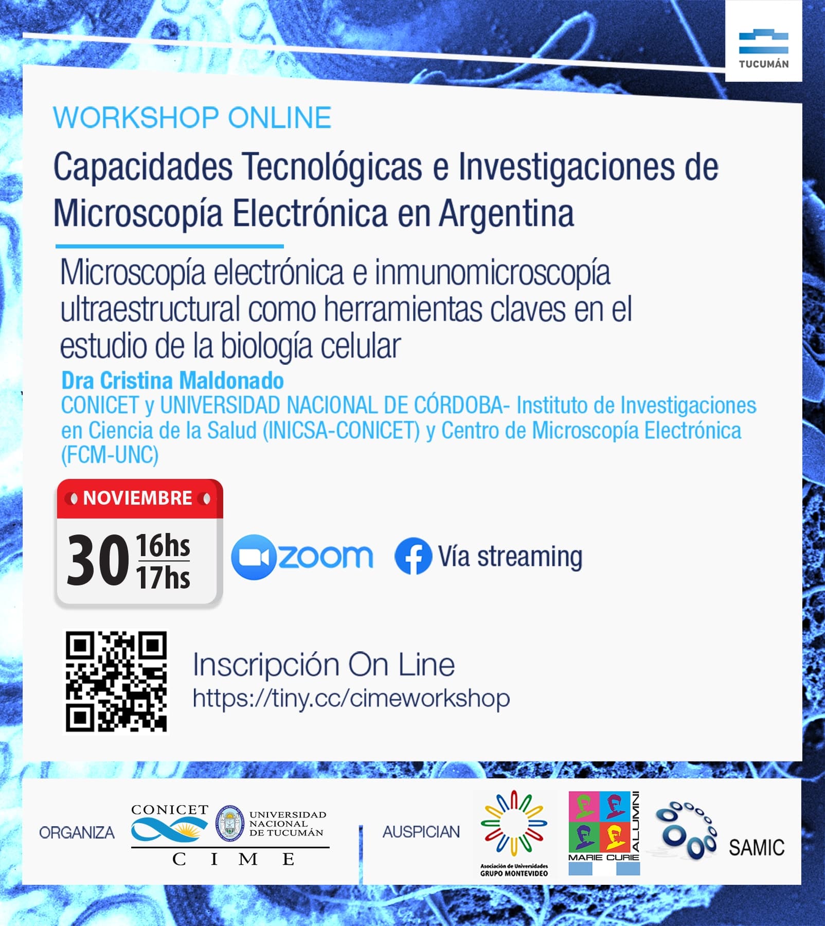 Electron microscopy workshop application 2